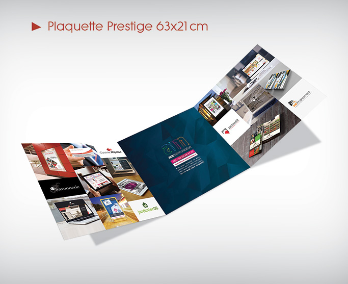 Plaquette Prestige 63x21cm